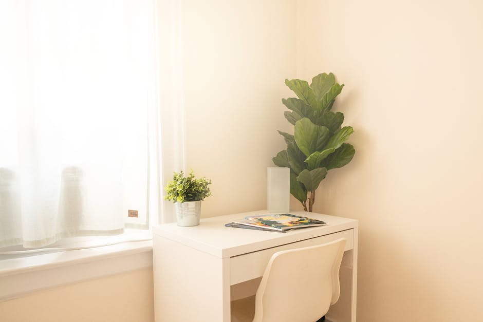 A minimalist white desk setup illuminated by natural light, featuring plants and magazines for a cozy ambiance.