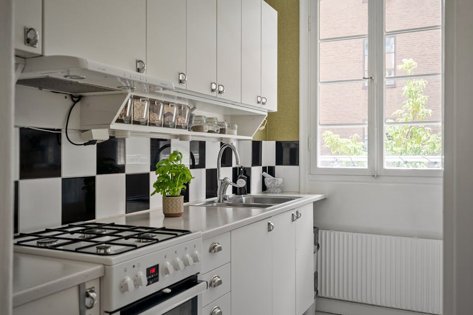 Sleek white kitchen interior featuring black tiles, a stove, and a vibrant potted plant.